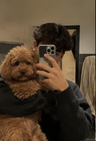 Caniche · Tobi