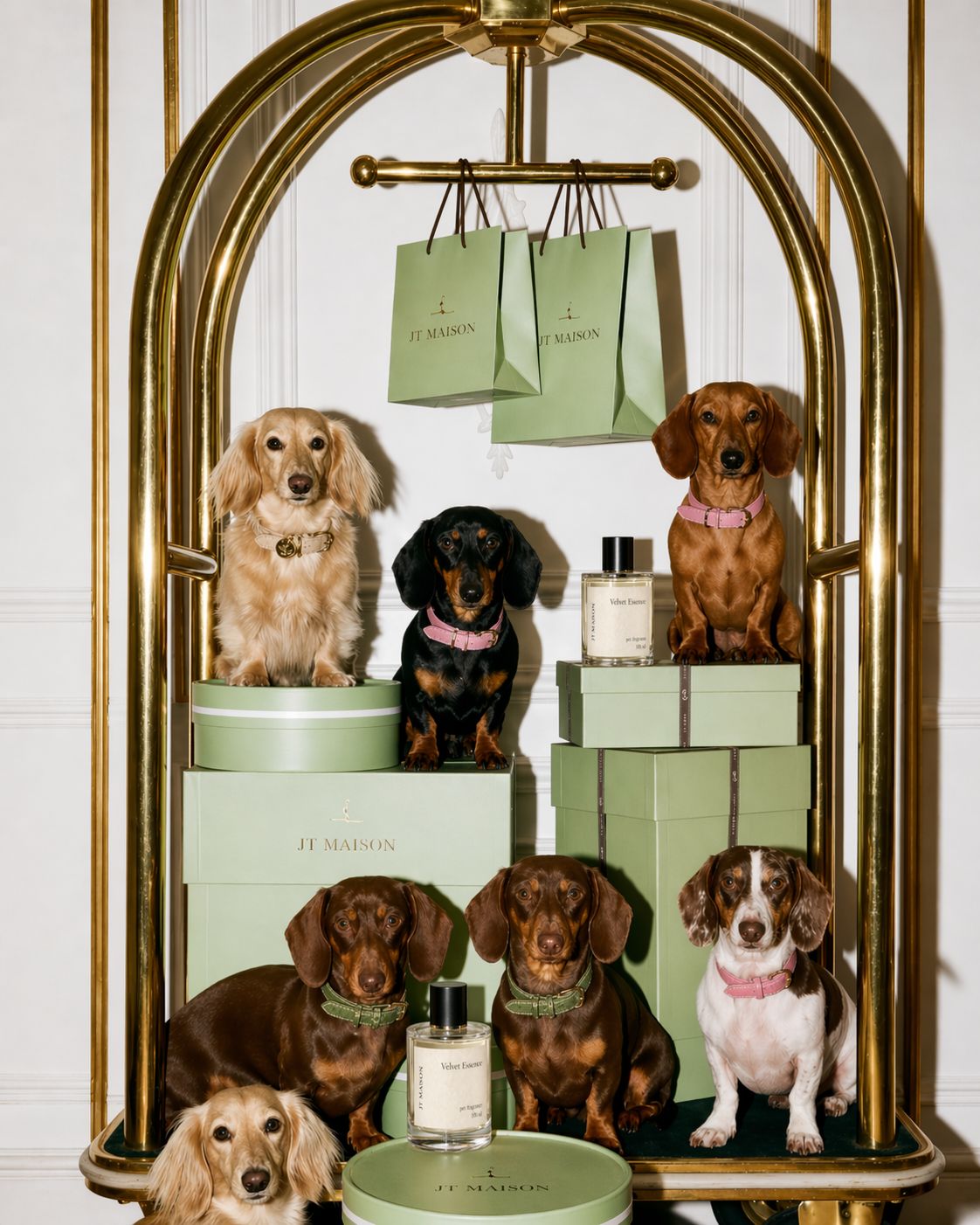 Pet fragrance · 100 ml
