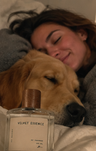 golden retriever · Coco